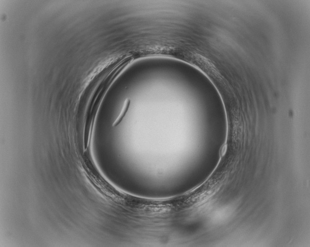 X0000060780443200511171247