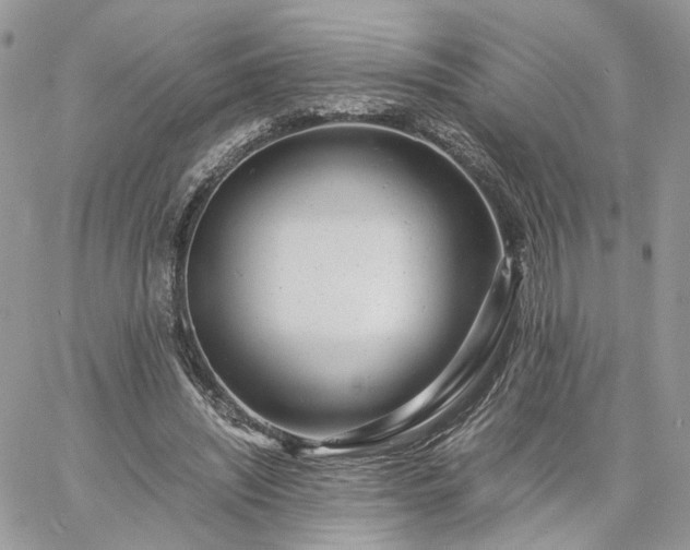 X0000060780444200511171247