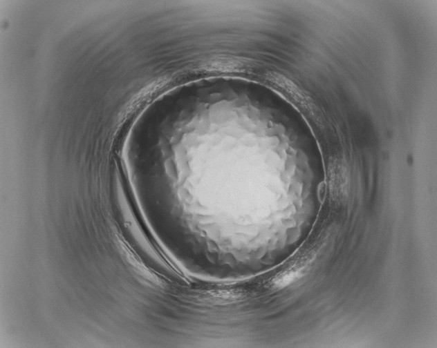 X0000060780445200511171247