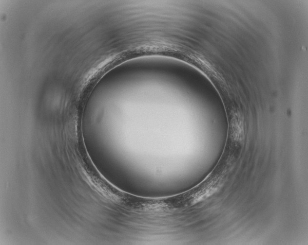 X0000060780446200511171247