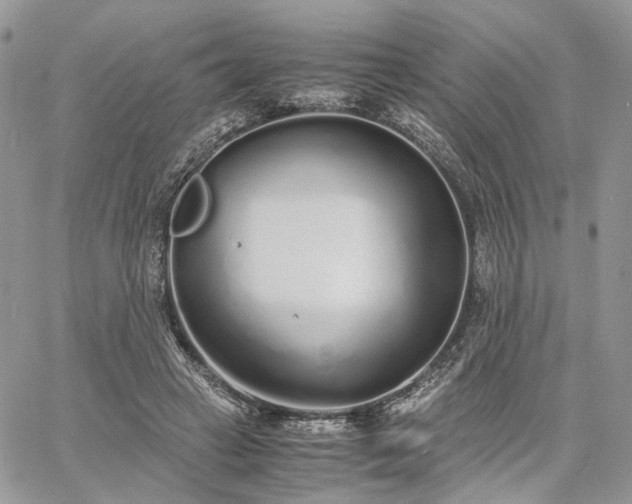 X0000060780449200511171247