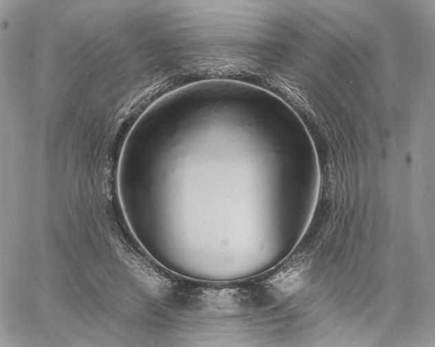 X0000060780450200511171247