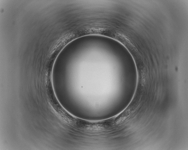 X0000060780451200511171247