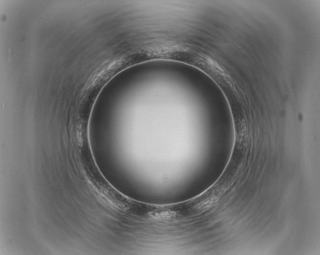 X0000060780452200511171247