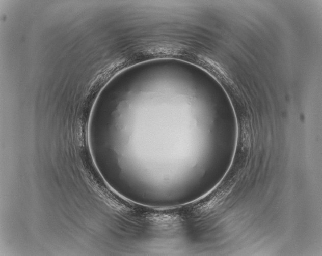 X0000060780453200511171247