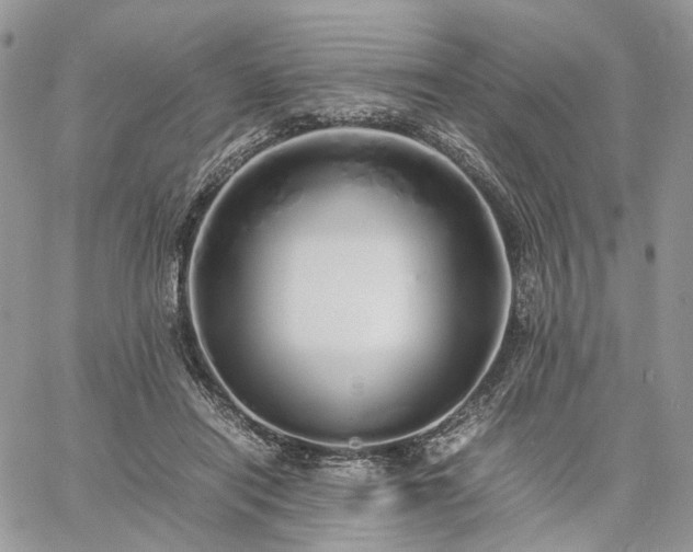 X0000060780454200511171247