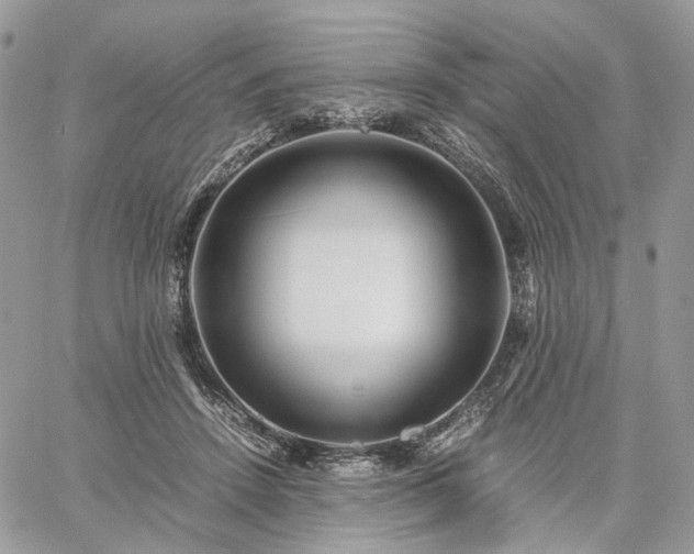 X0000060780456200511171247