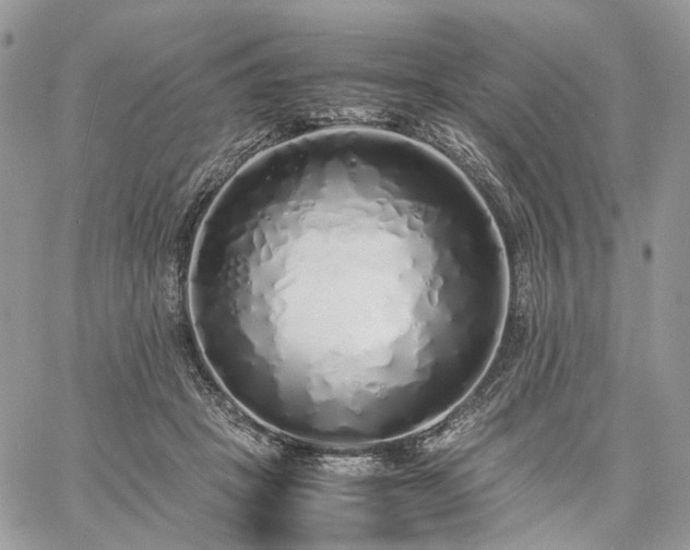 X0000060780457200511171247