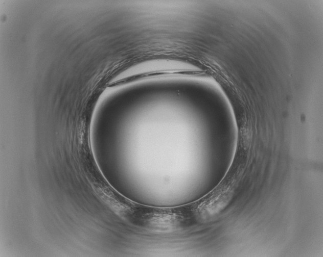 X0000060780458200511171247