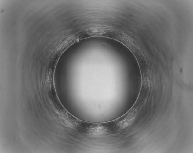 X0000060780460200511171247