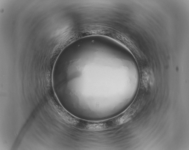 X0000060780461200511171247