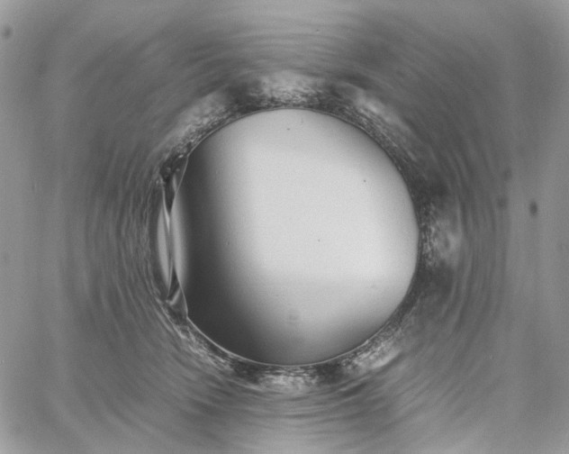 X0000060780466200511171247