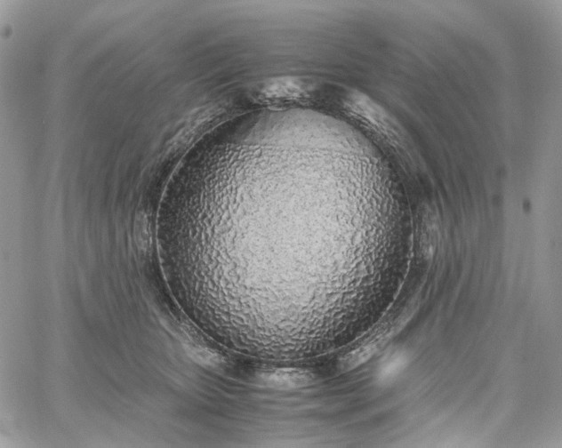 X0000060780467200511171247