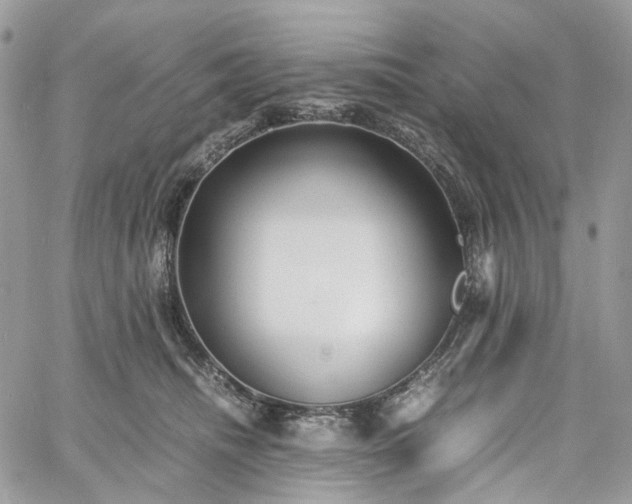 X0000060780468200511171247