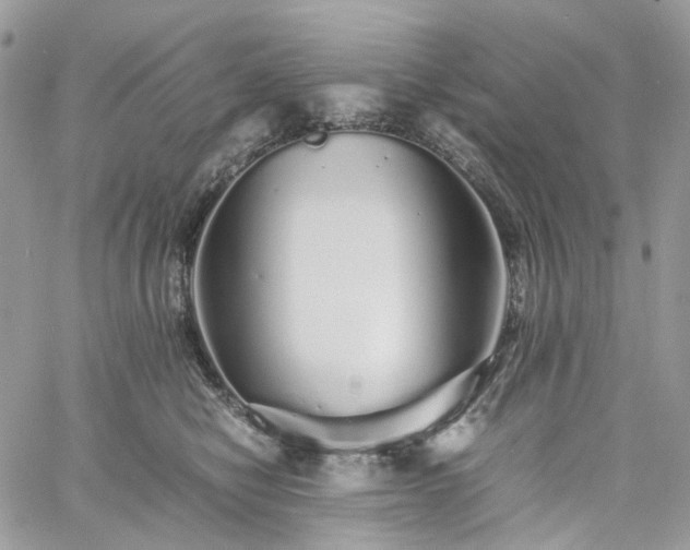 X0000060780470200511171247