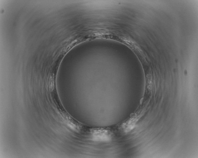 X0000060780471200511171247