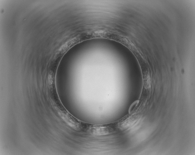 X0000060780472200511171247