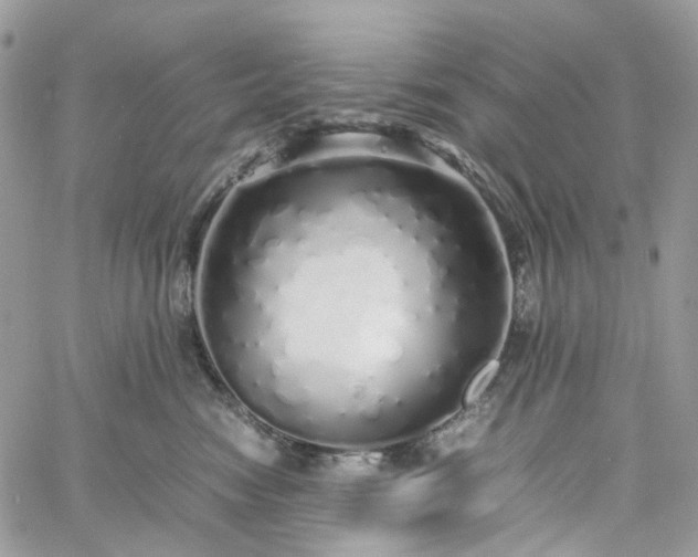 X0000060780474200511171247