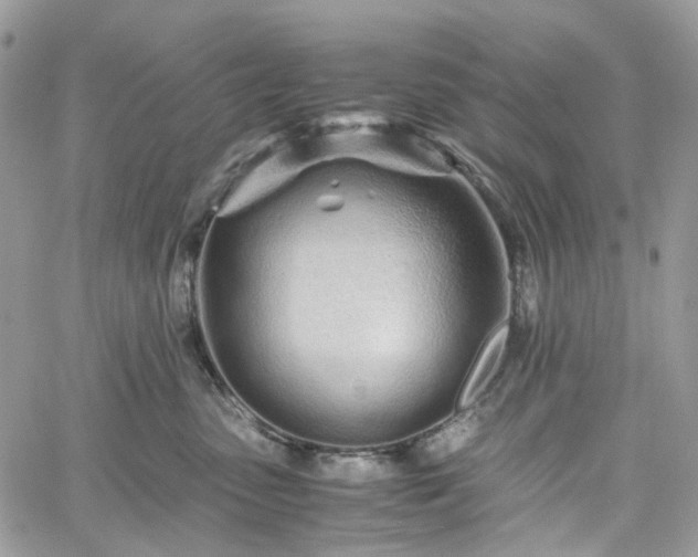 X0000060780475200511171247