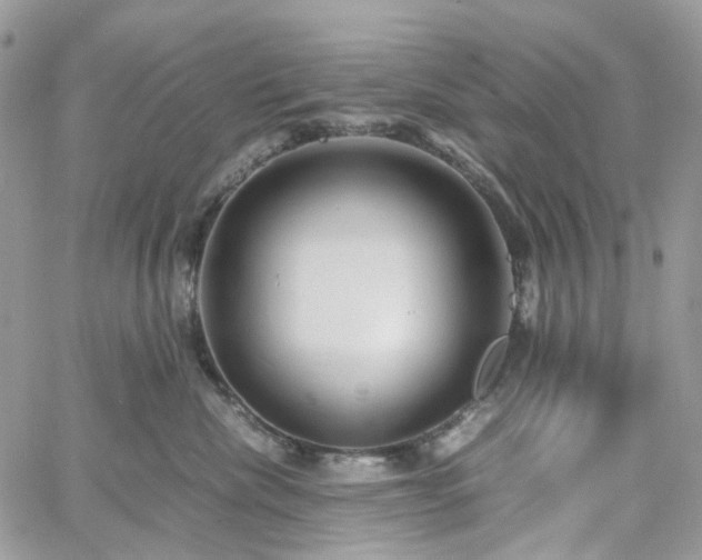 X0000060780476200511171247