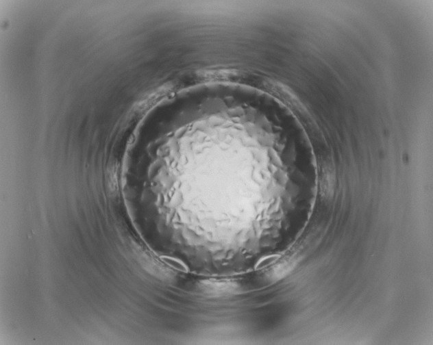 X0000060780477200511171247