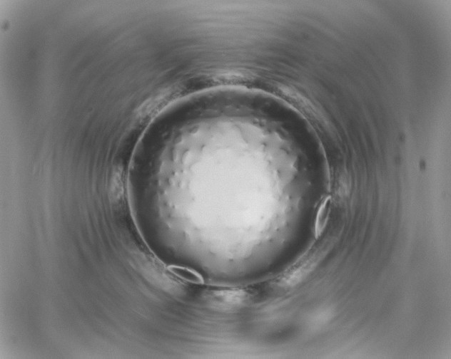 X0000060780478200511171247