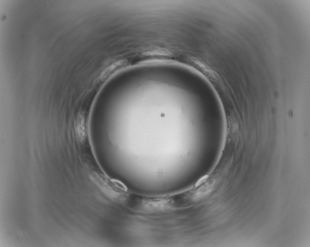 X0000060780479200511171247