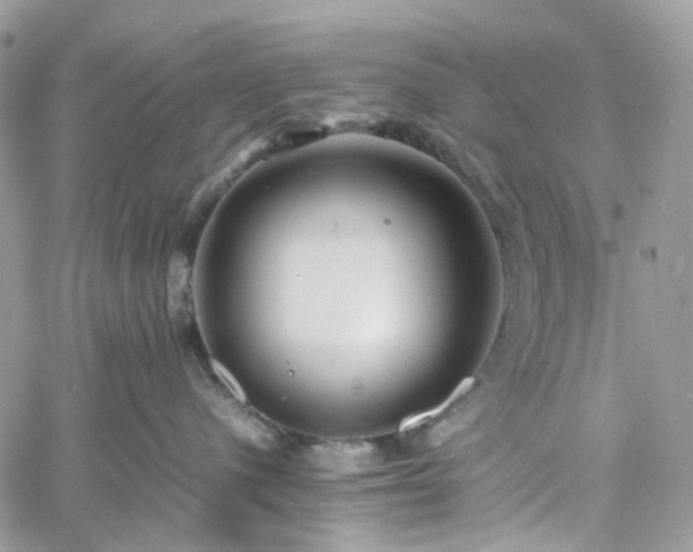 X0000060780480200511171247