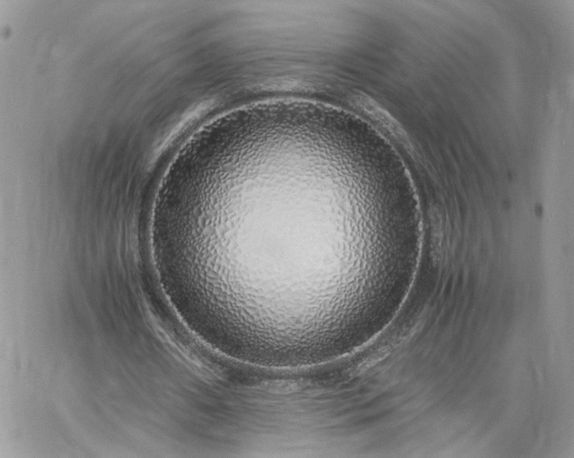 X0000060780482200511171247