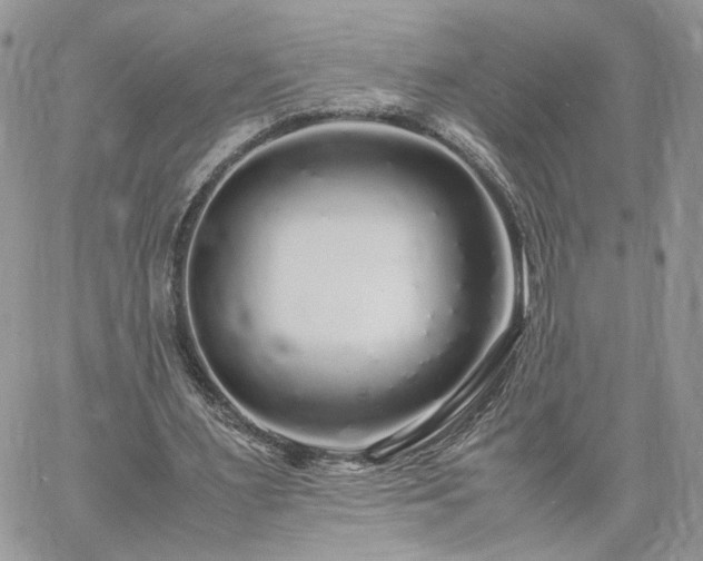 X0000060780483200511171247