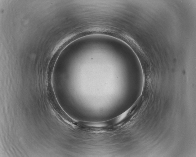 X0000060780484200511171247