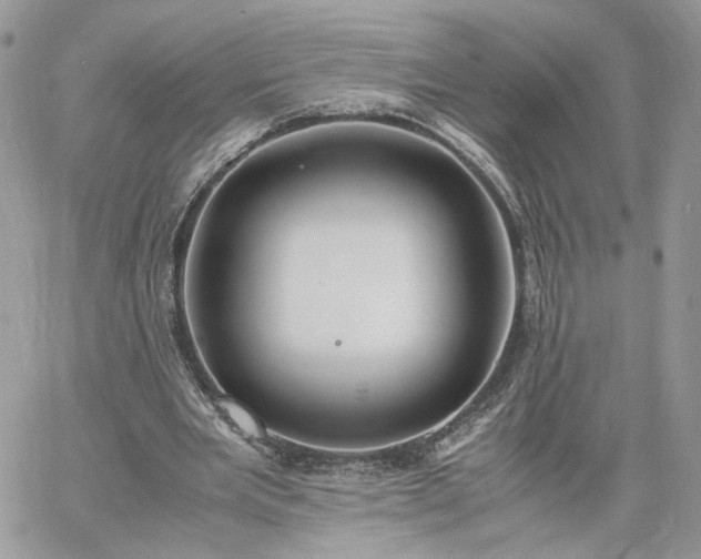 X0000060780485200511171247