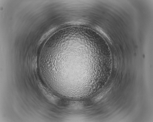 X0000060780486200511171247