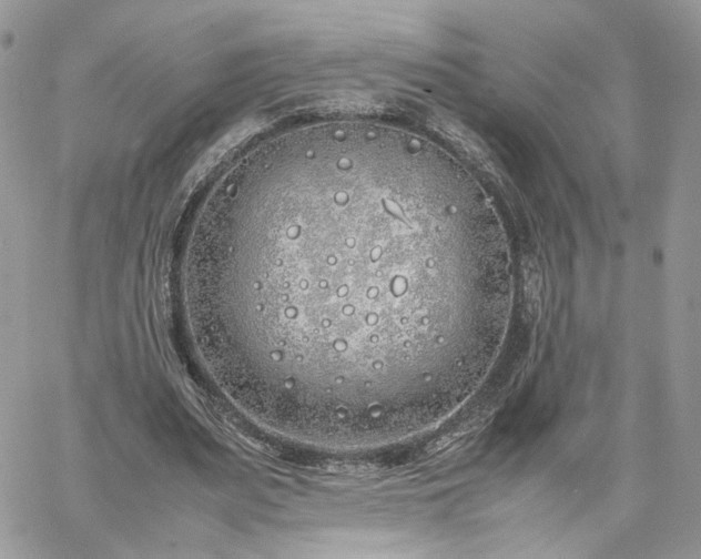 X0000060780487200511171247