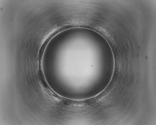 X0000060780488200511171247