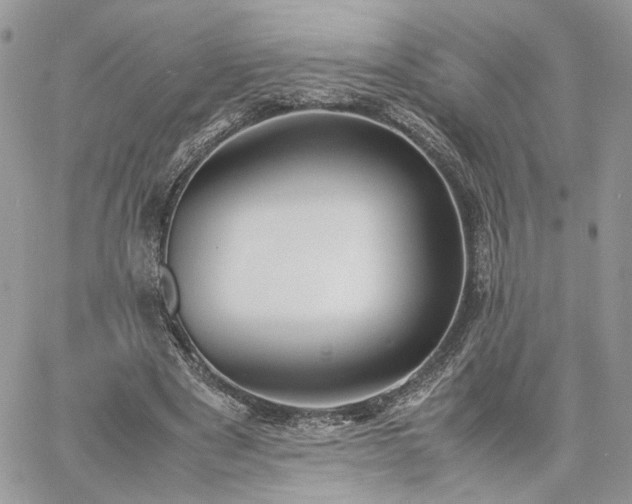 X0000060780489200511171247