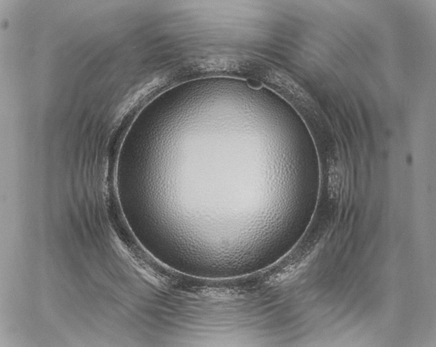 X0000060780490200511171247