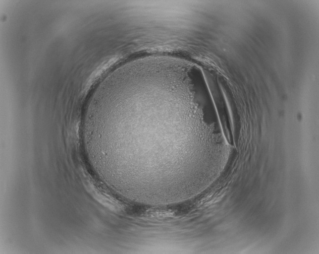 X0000060780491200511171247