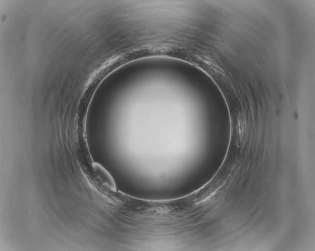 X0000060780492200511171246