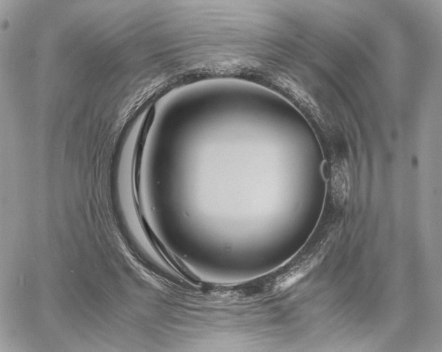 X0000060780493200511171246