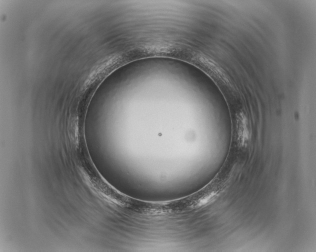 X0000060780494200511171246