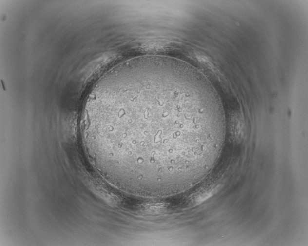 X0000060780495200511171246