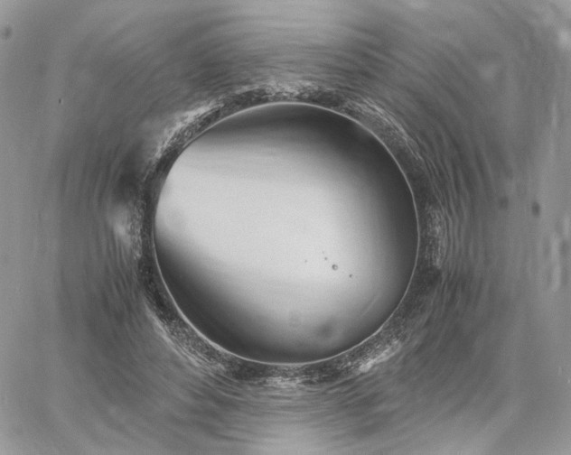 X0000060780496200511171246