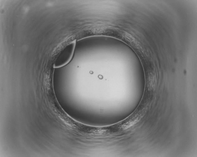 X0000060780497200511171246