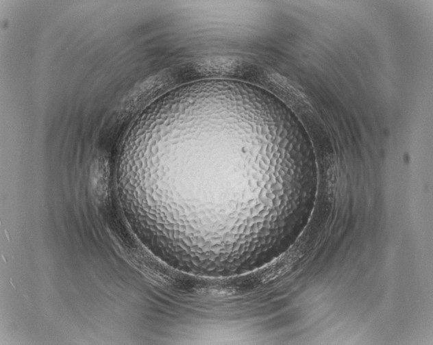 X0000060780498200511171246