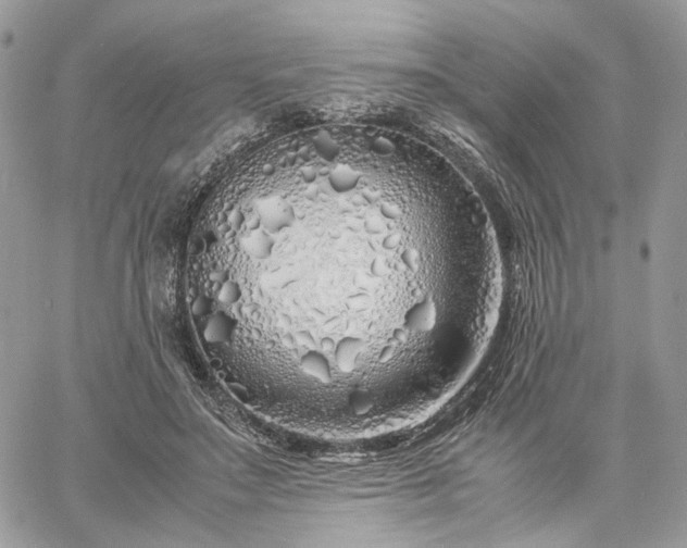 X0000060780499200511171246