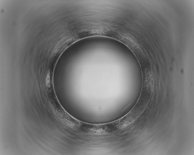 X0000060780502200511171246