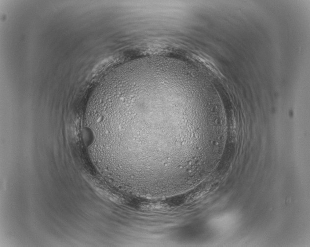 X0000060780503200511171246