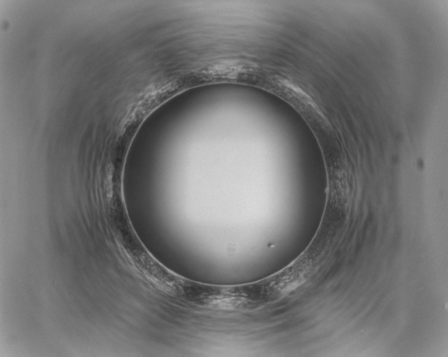 X0000060780504200511171246