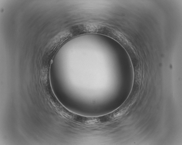 X0000060780505200511171246